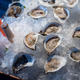 Image for article titled For oyster farmers, the fight against climate change is personal
